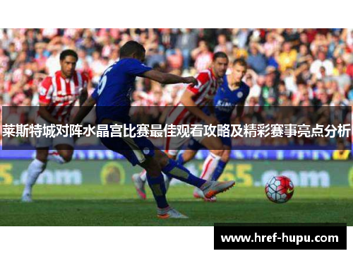 莱斯特城对阵水晶宫比赛最佳观看攻略及精彩赛事亮点分析 莱斯特城对阵水晶宫比赛最佳观看攻略及精彩赛事亮点分析