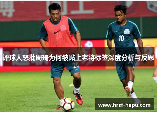 评球人怒批周琦为何被贴上老将标签深度分析与反思