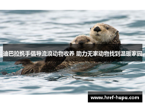 迪巴拉携手倡导流浪动物收养 助力无家动物找到温暖家园 迪巴拉携手倡导流浪动物收养 助力无家动物找到温暖家园