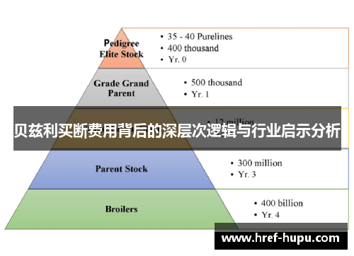 贝兹利买断费用背后的深层次逻辑与行业启示分析 贝兹利买断费用背后的深层次逻辑与行业启示分析