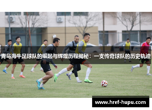 青岛海牛足球队的崛起与辉煌历程揭秘：一支传奇球队的历史轨迹