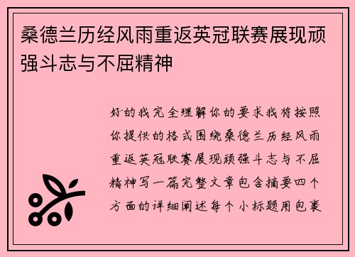 桑德兰历经风雨重返英冠联赛展现顽强斗志与不屈精神 桑德兰历经风雨重返英冠联赛展现顽强斗志与不屈精神